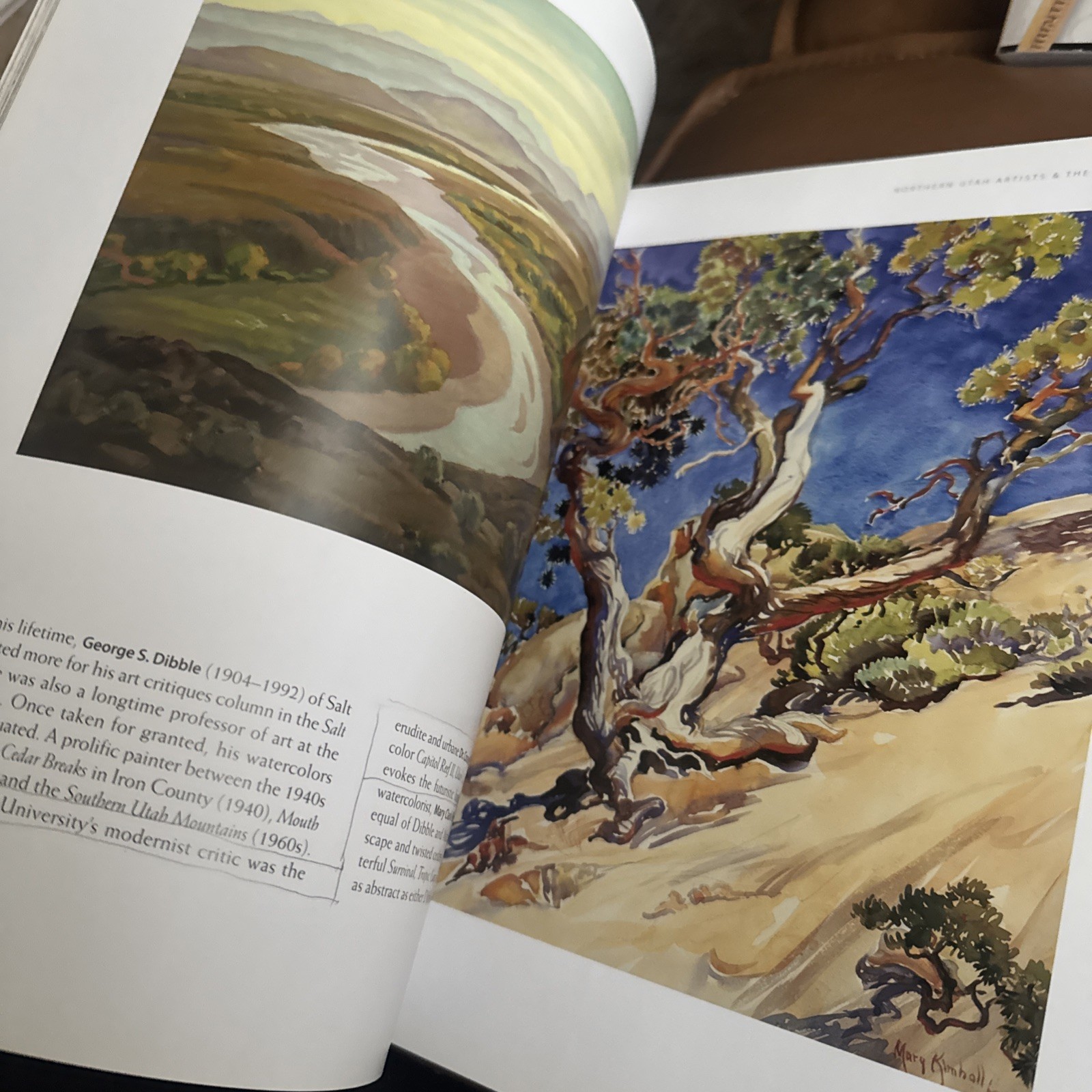 Painters of Utah’s Canyons and Deserts, Poulton, Donna L,Swanson, Vern G., Good