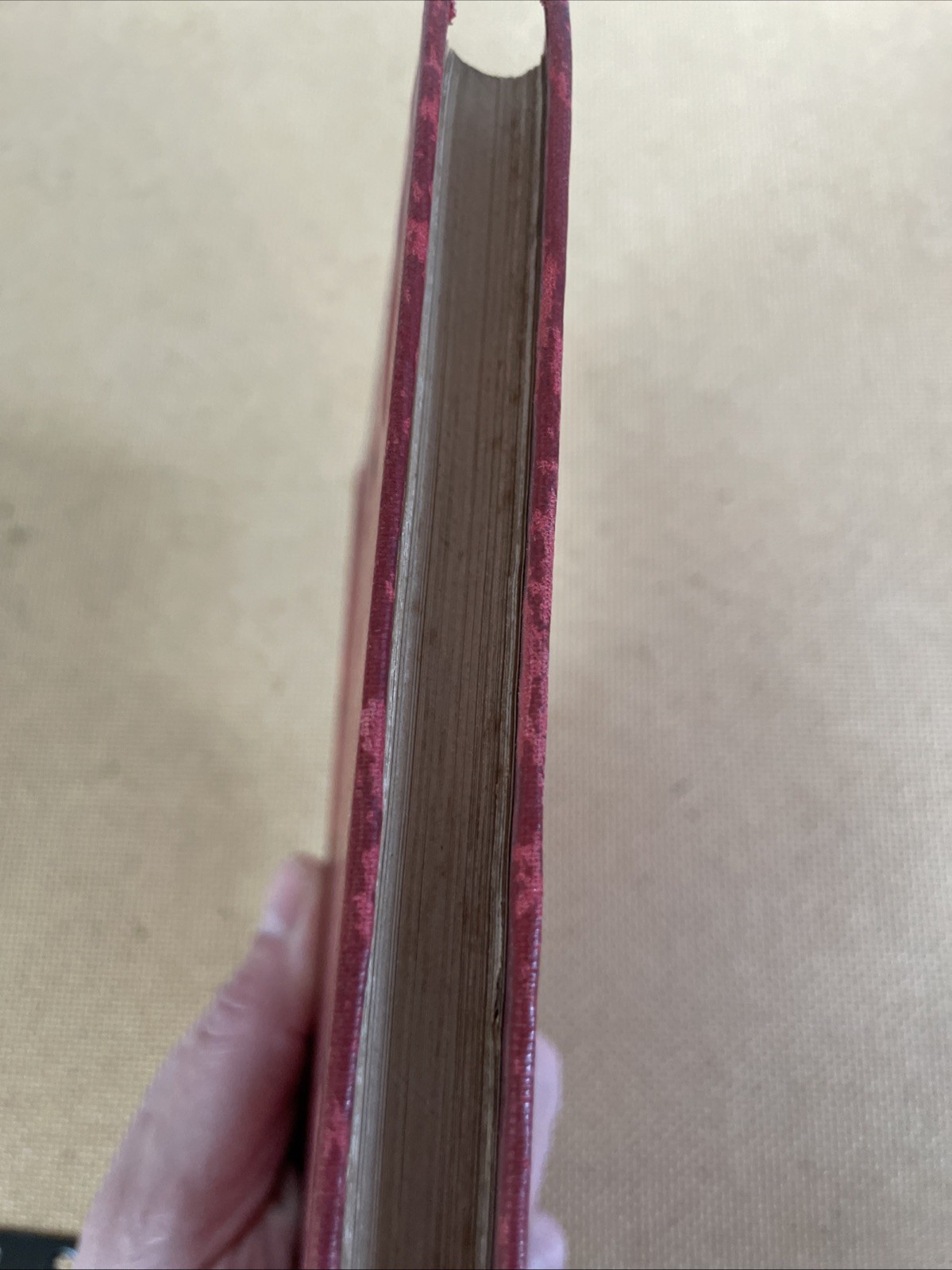 The Darjeeling Disaster: Its Bright Side Rev F W Warne 1900 Hardback 1st Ed
