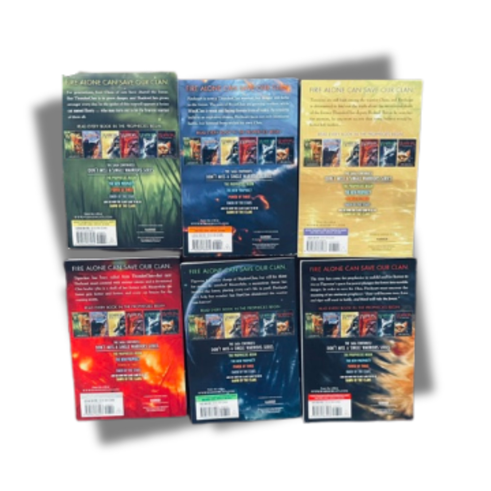 WARRIORS The Prophecies Begin | Complete 6 Book Set | Erin Hunter Fantasy Series
