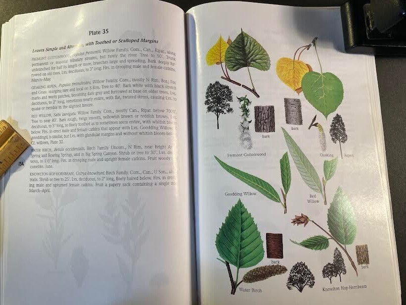 A Field Guide to the Grand Canyon by Whitney. 2nd edition. 269 pages. good cond.