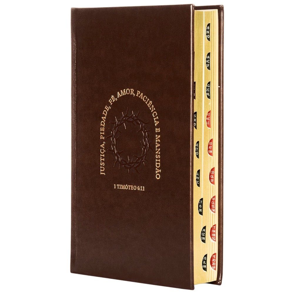 Biblia: Timoteo – NVI – Encardenacao: Capa Dura (Em Portugues do Brasil)