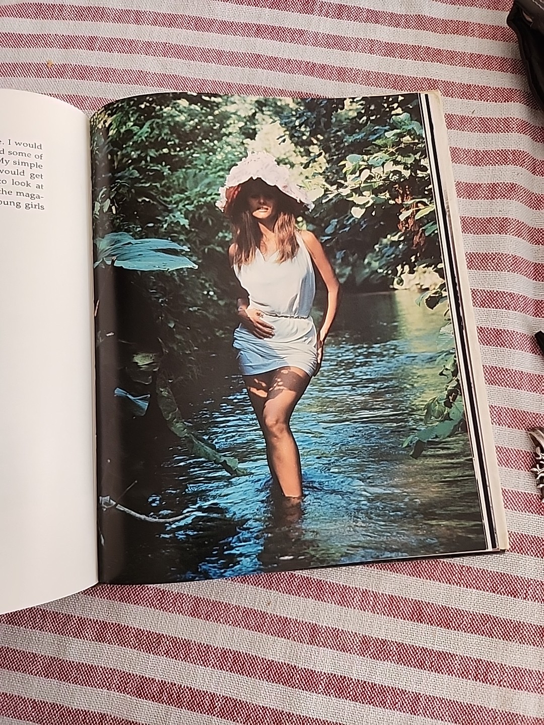 Of Women and Their Elegance by Norman Mailer (1980, Hardcover)