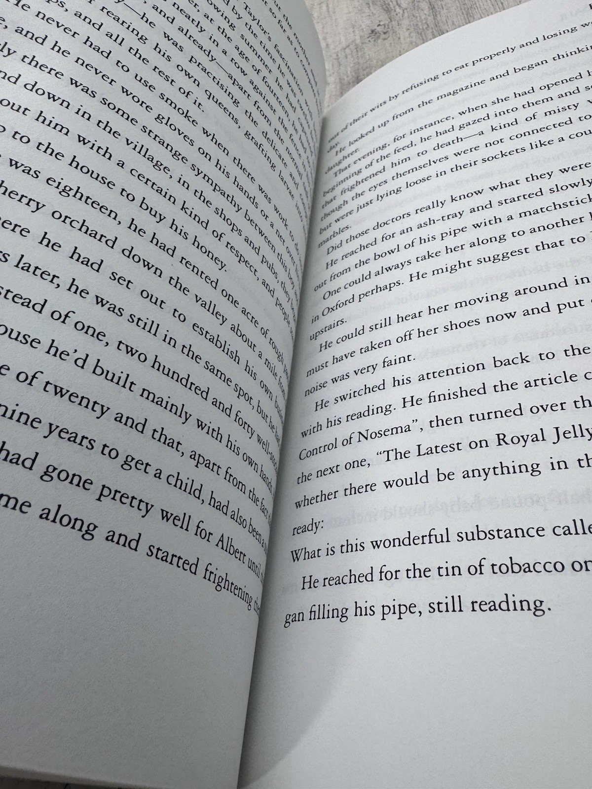 Roald Dahl Umbrella Man Advance Reading Copy ARC Viking Proof