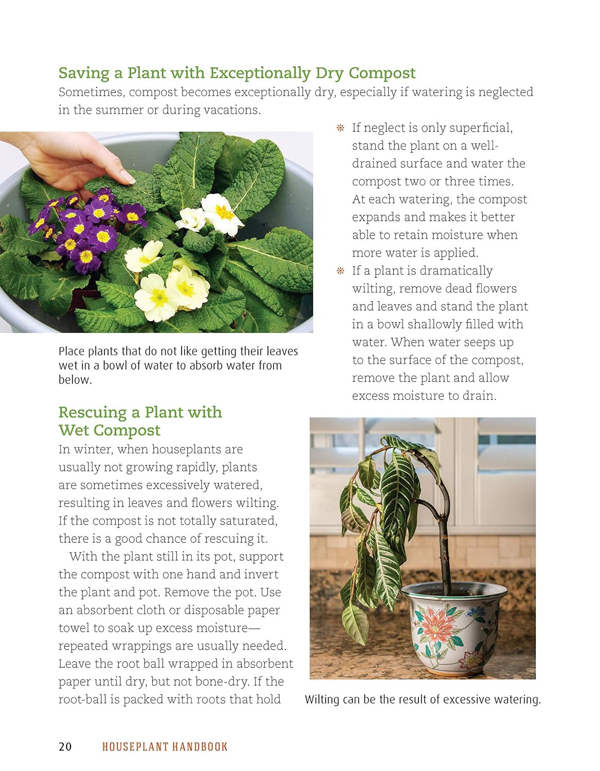 Houseplant Handbook: Basic Growing Techniques and a Directory of 300 Everyday Ho