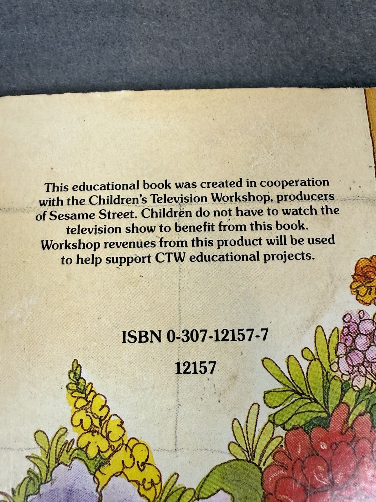 Vintage 1986 Sesame Street Who’s Hiding Golden Touch Feel Book