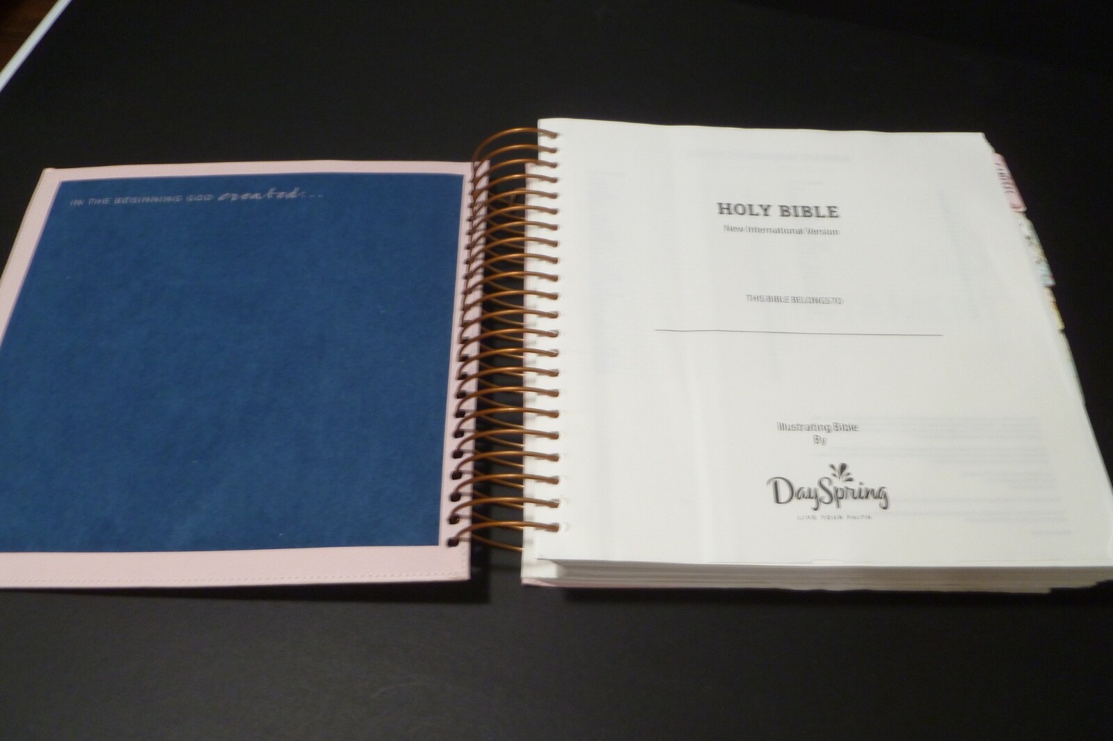 Illustrating Bible NIV Pink by Dayspring (2020, Spiral)