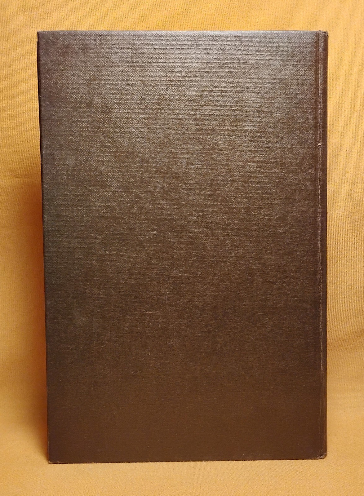 the Stone Door Leonora Carrington St. Martin’s Press 1977 HCDJ 1st U.S. edition