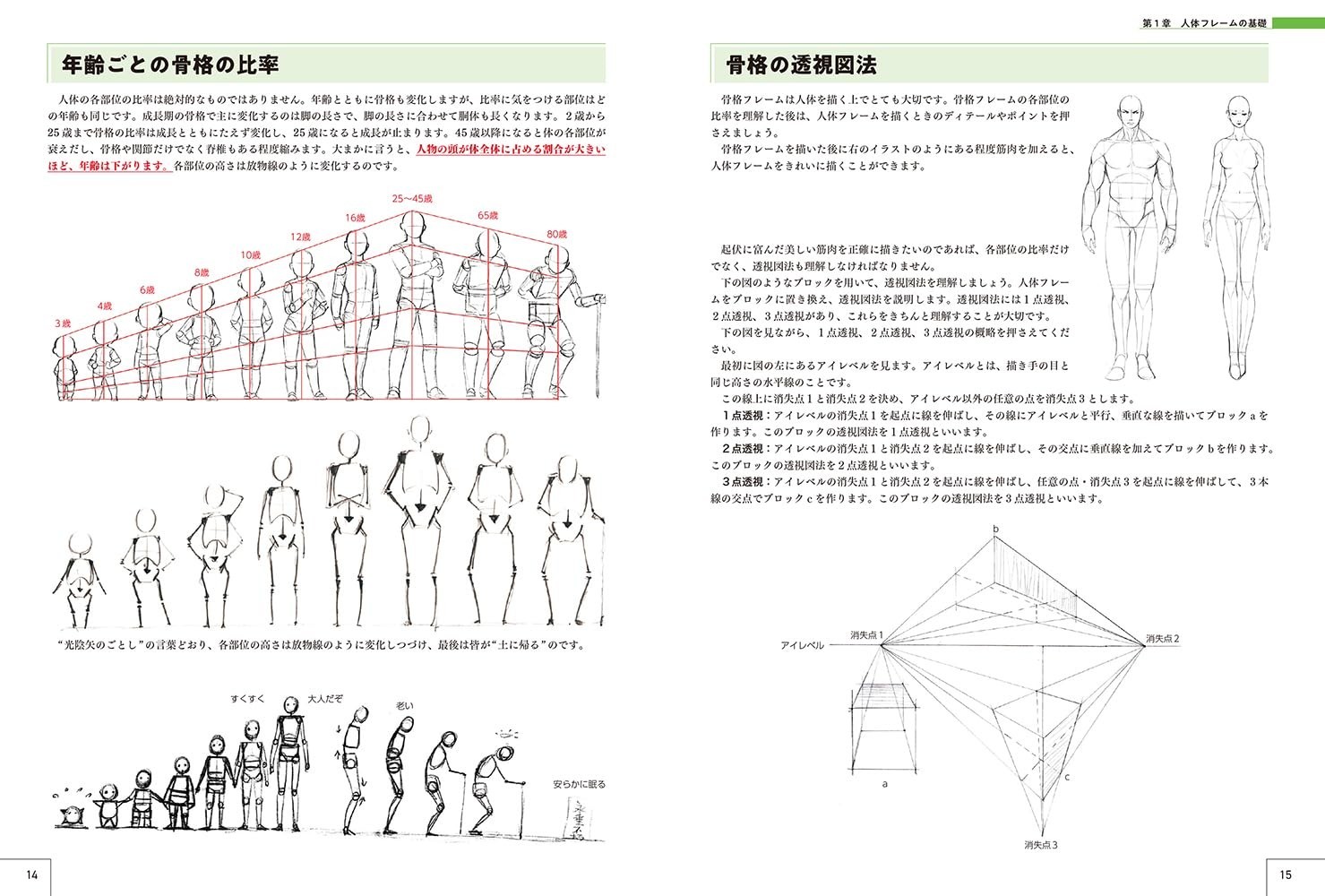 How to Draw Characters Guidebook : Human Body Drawing to Character Design Japan