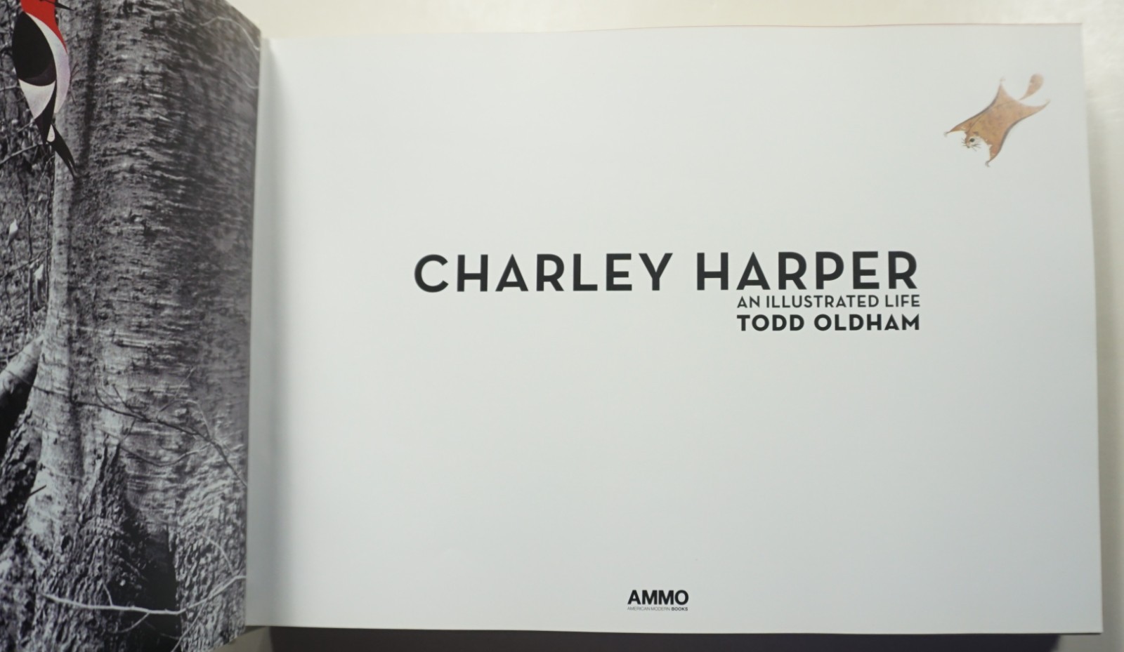 Charley Harper: An Illustrated Life 2009 Oldham Artist Modern Art Prints Posters