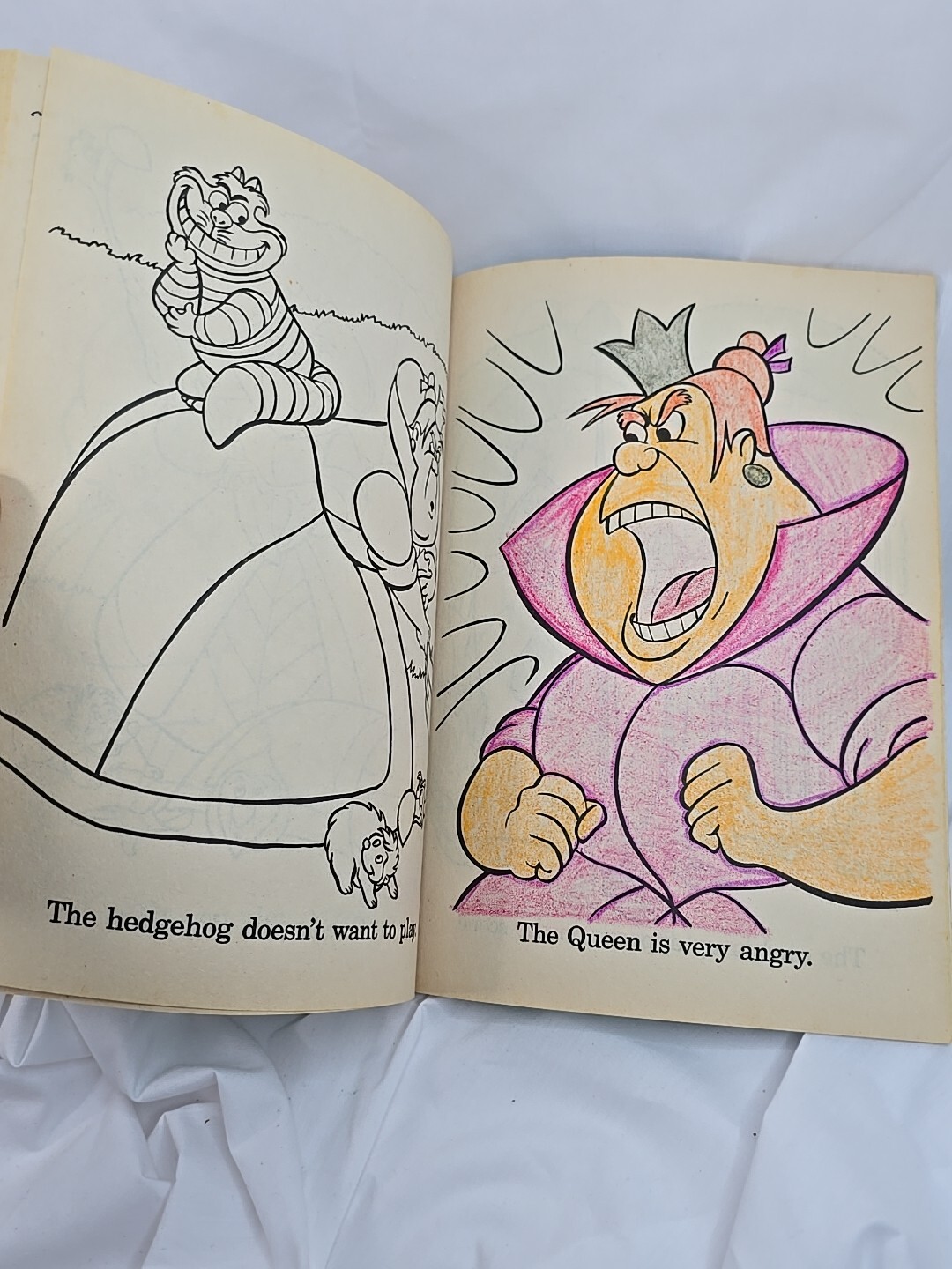 Alice In Wonderland Coloring Book Walt Disney Has Pages Colored In Vintage