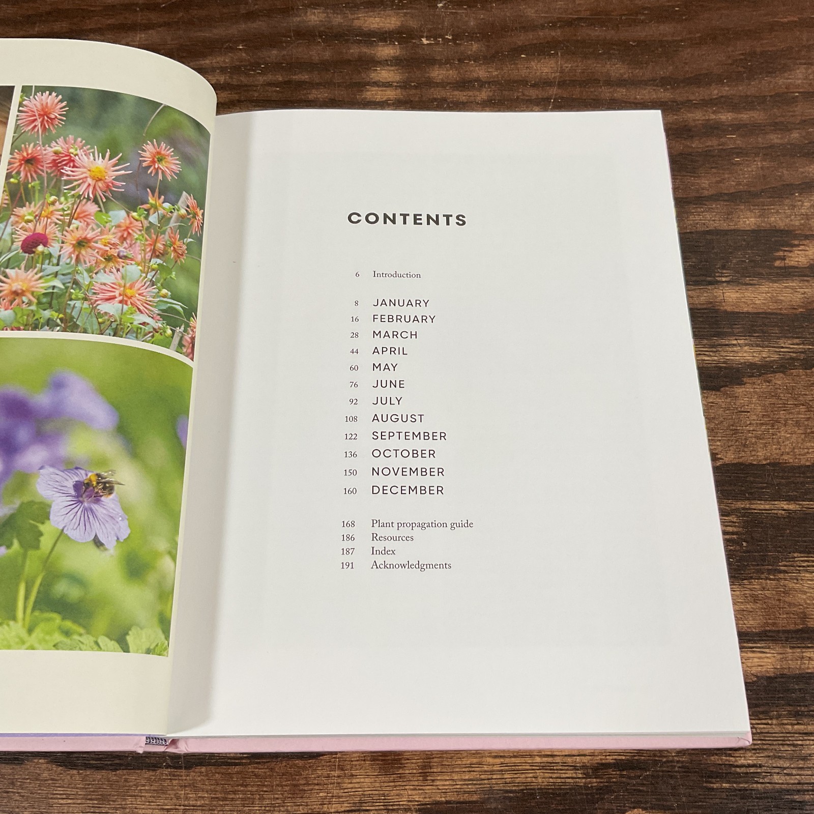 Money Saving Garden Year By Lautenbach, Anya