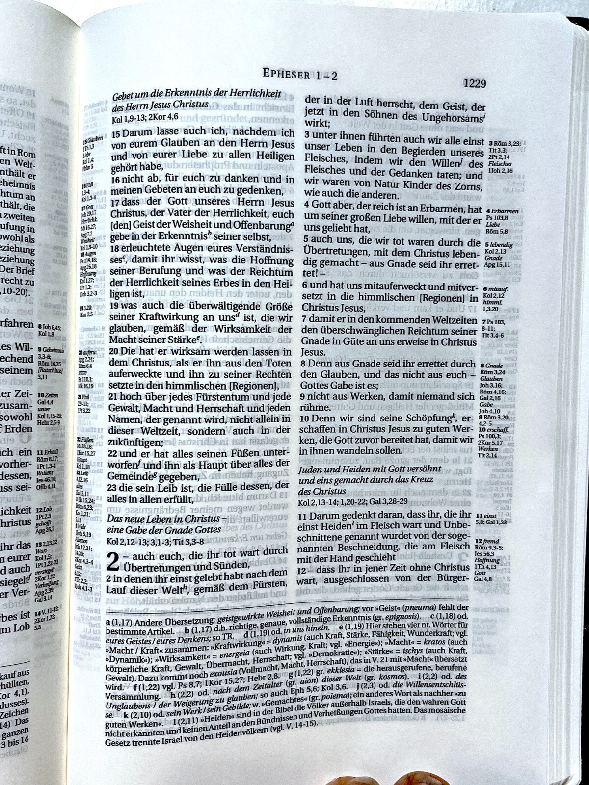 German Bible, Die Bibel, Schlachter 2000, Imitation Leather, Brown Black 2-toned