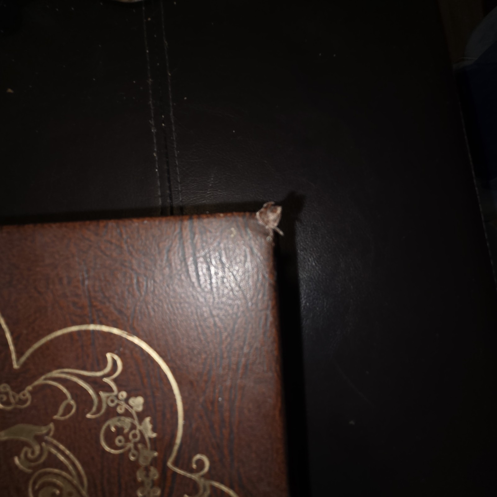 Vintage 1970s Fireside Family Edition Holy Bible (King James Version) with Salt