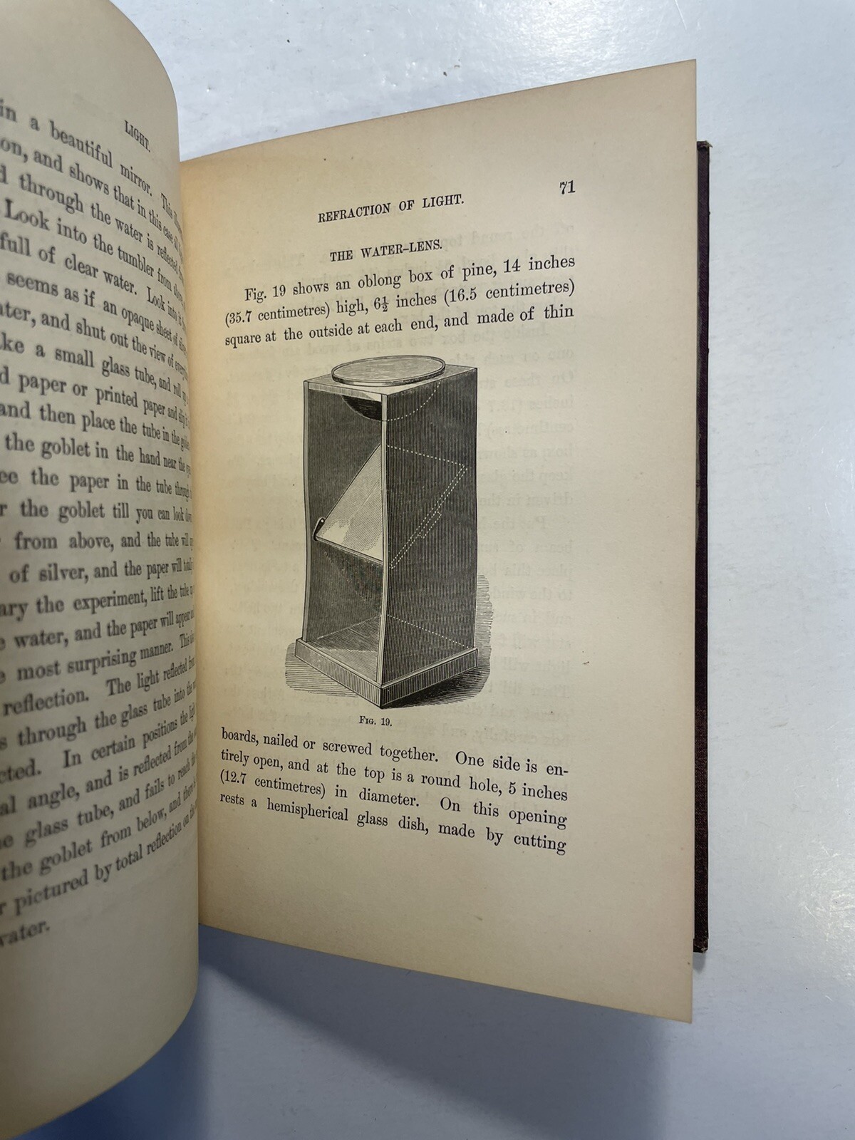 Light Mayer and Barnard D. Appleton and Company 1878 First Edition? Education