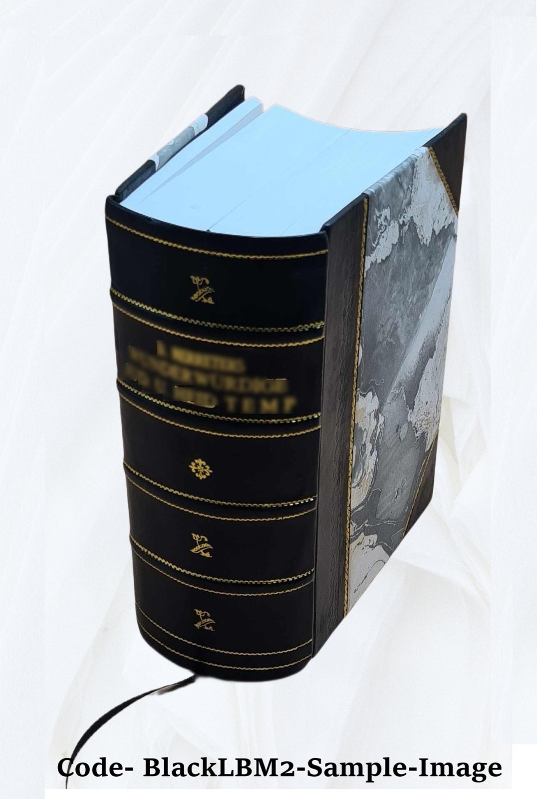 Complutensian Polyglot Bible Old Testament New Testament Volume [Leather Bound]