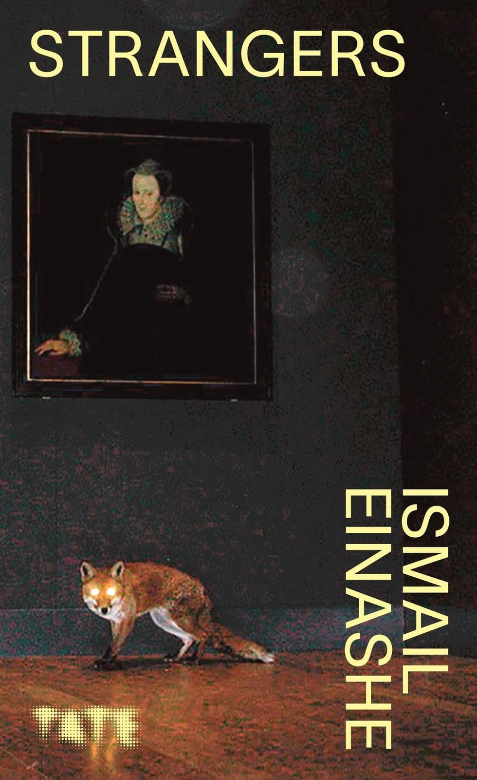 Look Again: Strangers by Ismail Einashe Paperback Book