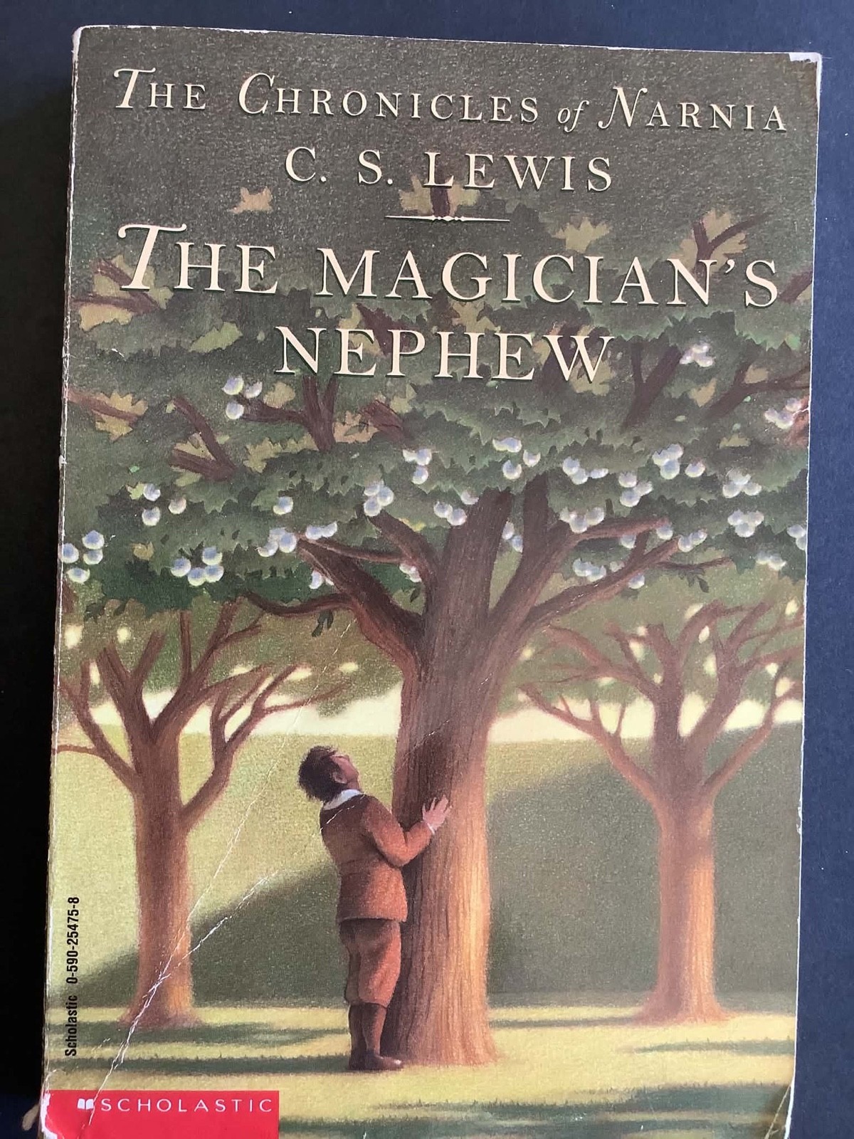 C.S. Lewis The Chronicals of Narnia 7 Book Collection Scholastic Paperback
