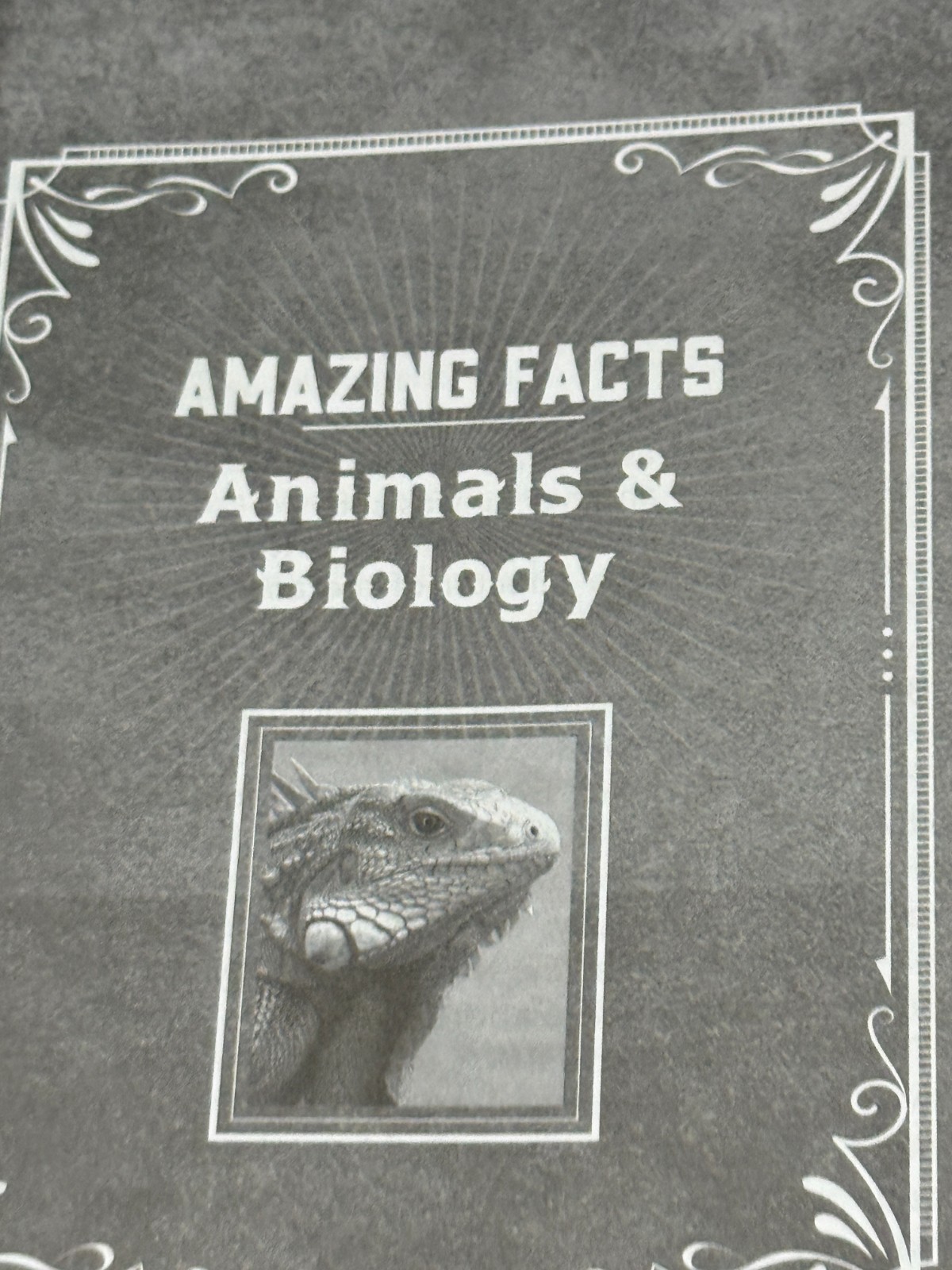 The All-New Book of Amazing Facts Vol. 2 by Doug Batchelor PB