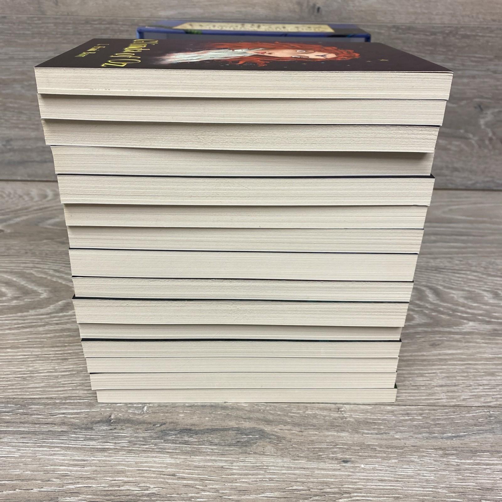 The Wizard of Oz Complete Collection L Frank Baum Box Set 15 Books
