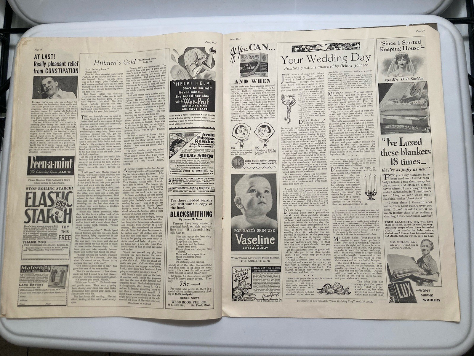 The Farmer’s Wife Magazine June 1935 Jules Erbit Cover Vtg Ads Articles Recipes