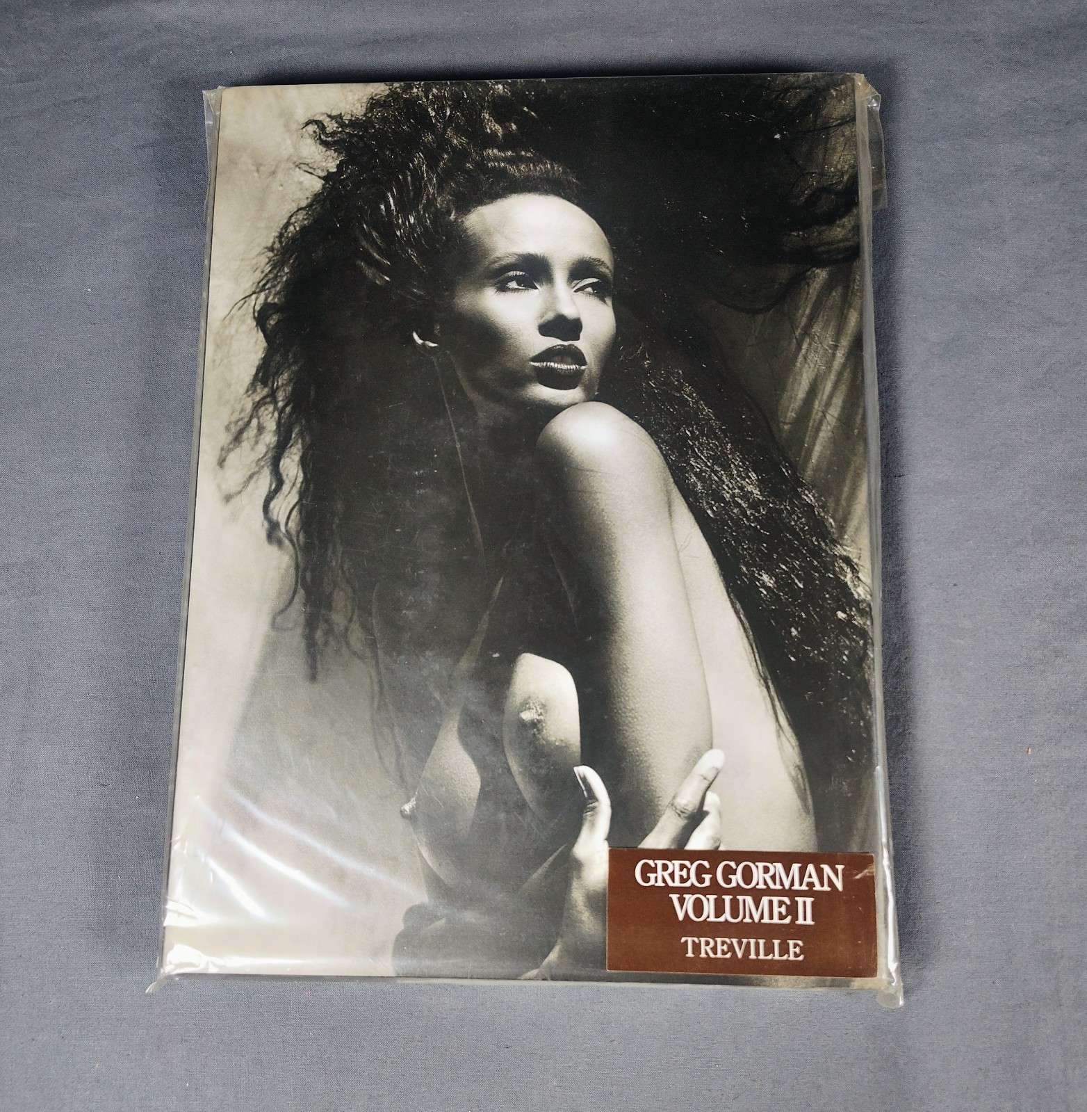 SIGNED Greg Gorman VOLUME II Art Photography Book 1993 Treville 1st Edition HCDJ