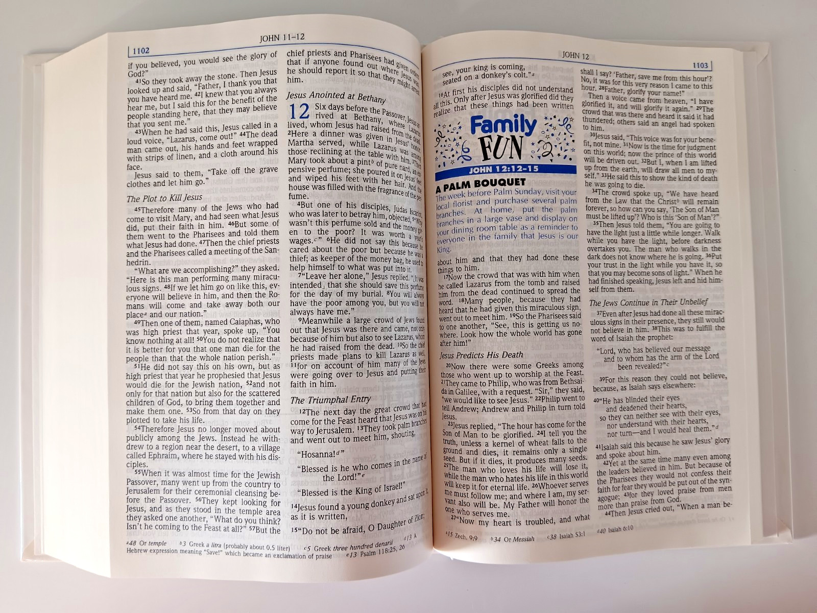 The Parenting Bible NIV Christian Values for Today’s Family 1994 Zondervan HB