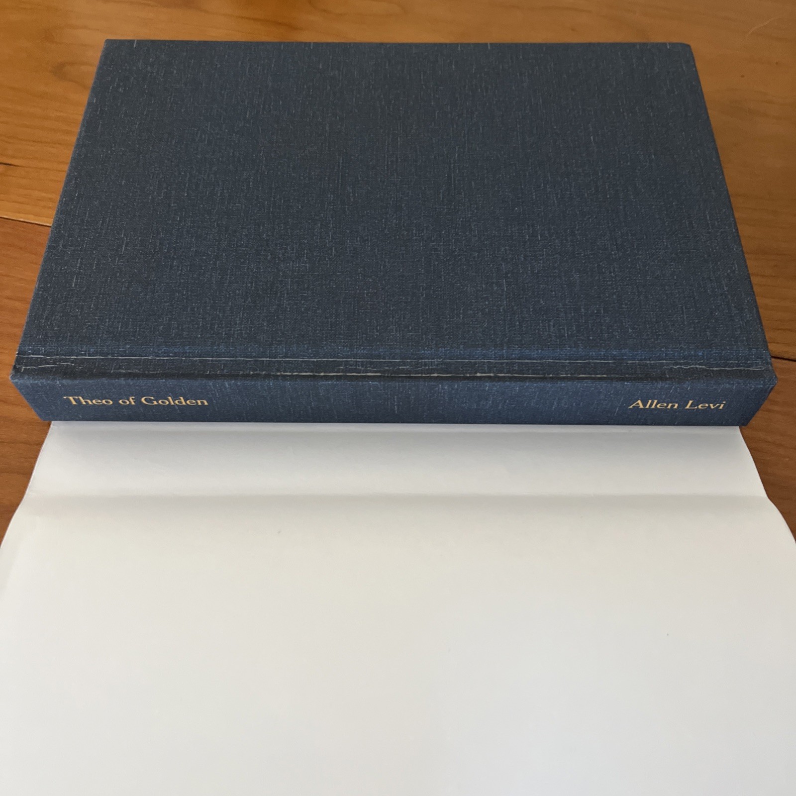 Theo of Golden Allen Levi True First Edition Self Published Hardcover Book 2023
