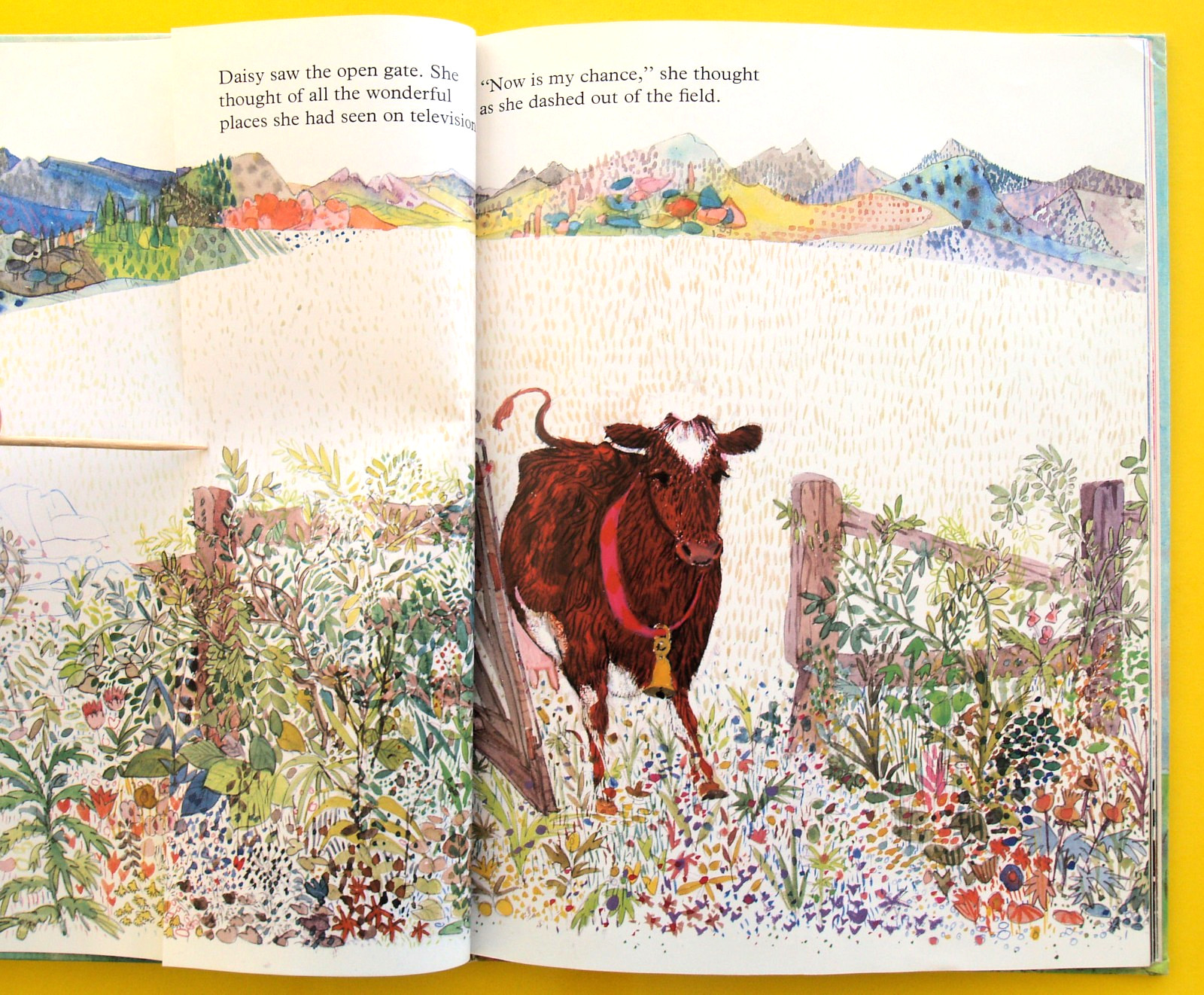 DAISY—Hrdcover—1984 BRIAN WILDSMITH—UNIQUE PAGES FORMAT—CHARMING COLOR ILLUSTRAT