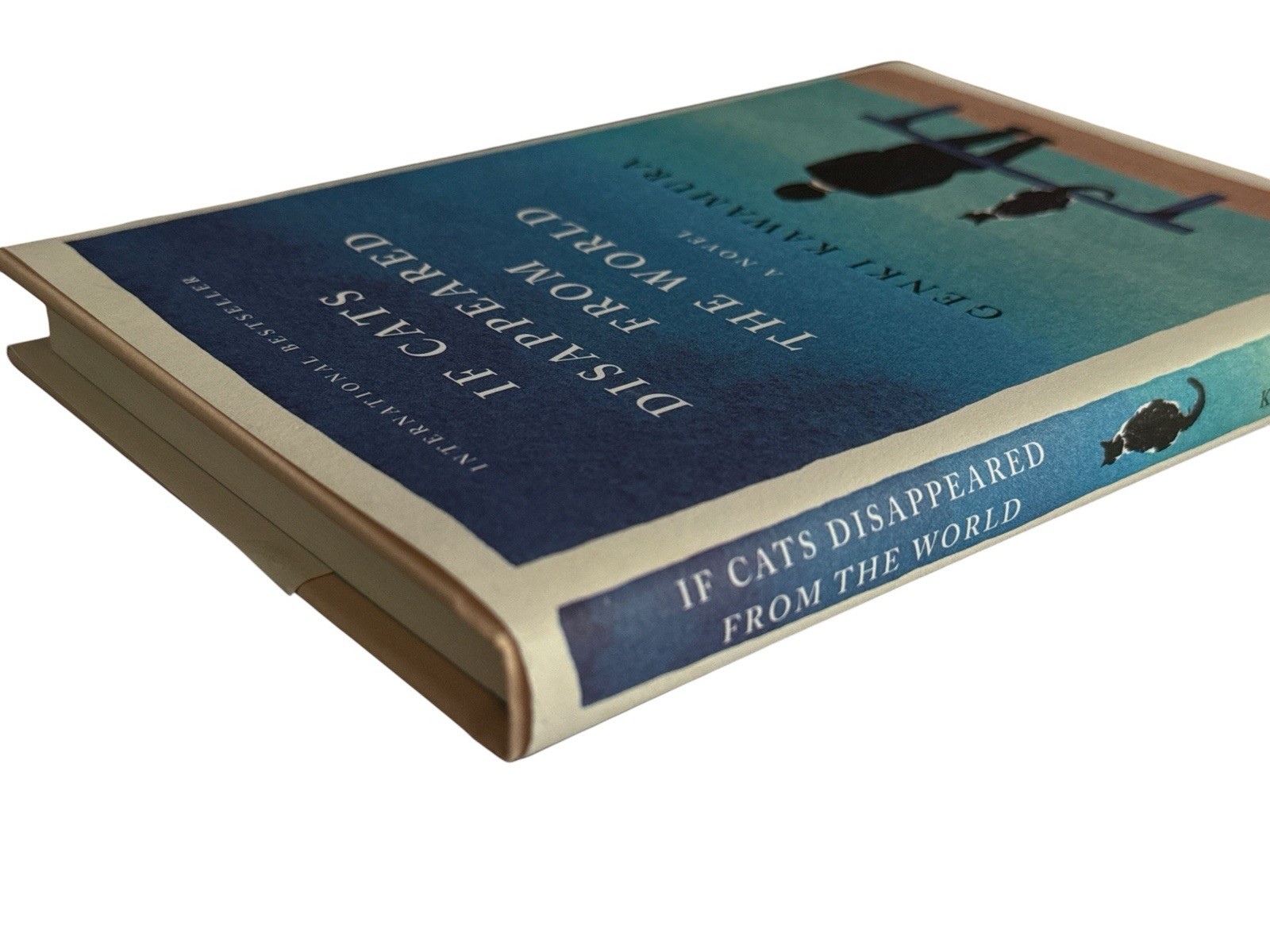 If Cats Disappeared from the World ~ Genki Kawamura ~ Like New Hardback