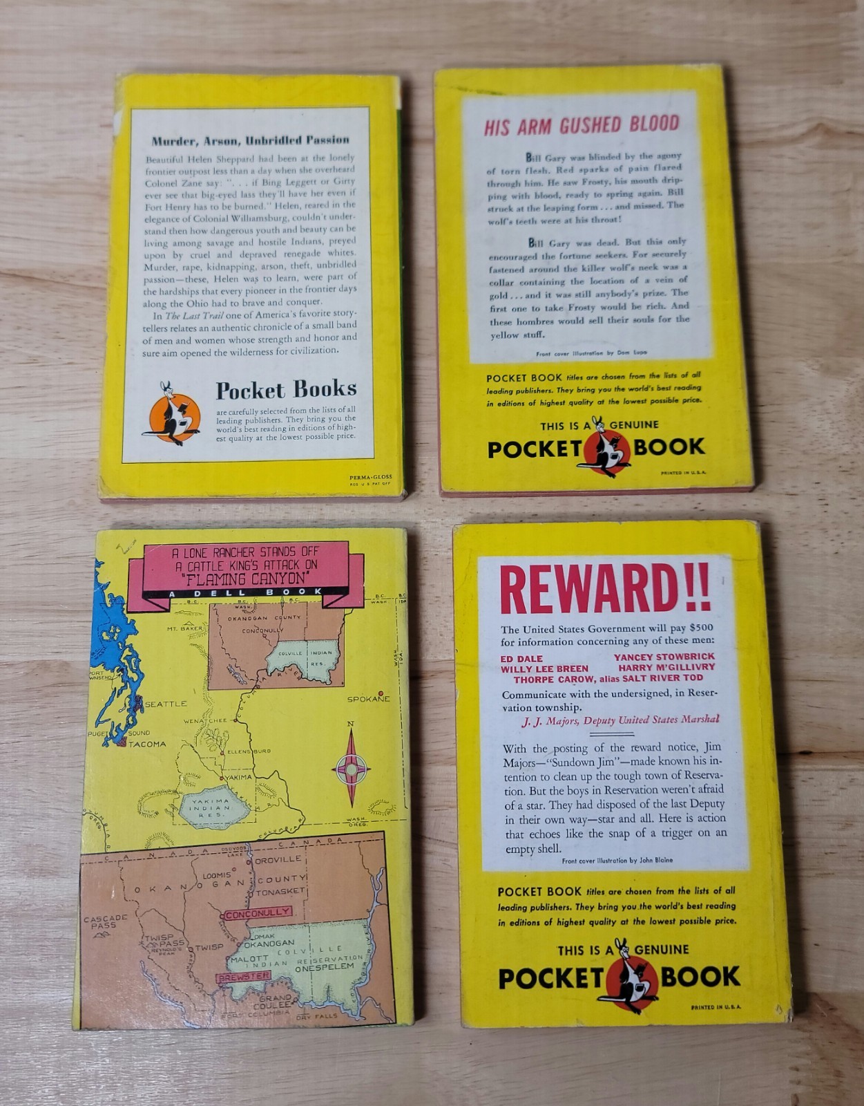 Lot of 18 PB Lot of WESTERN-ADVENTURE Vintage Books