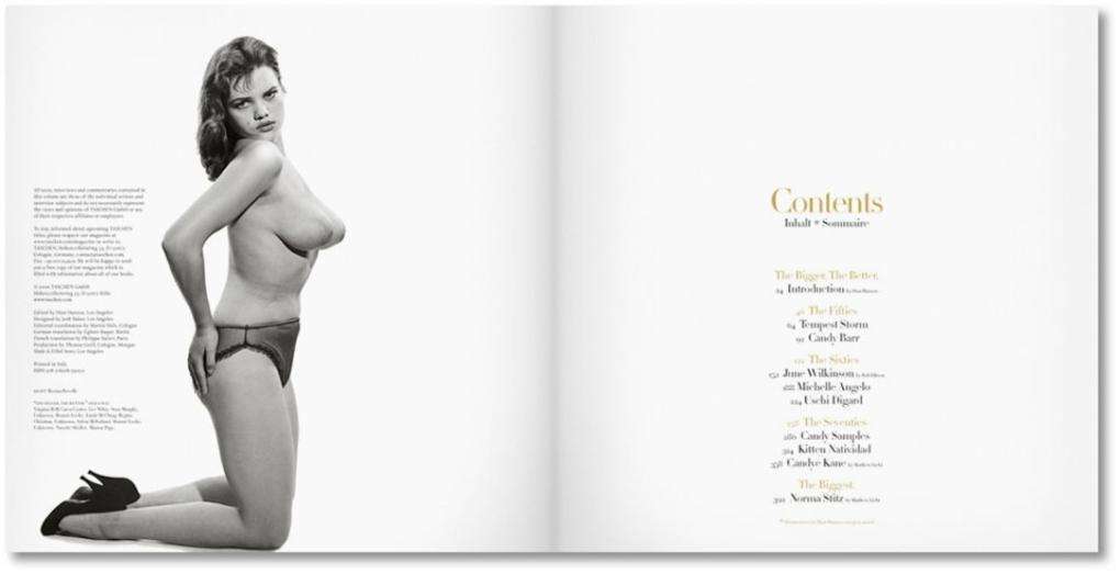 BIG BOOK OF BREASTS Dian Hanson MODERN AGE OF TOUCHABLE CURVES ~ TASCHEN HC