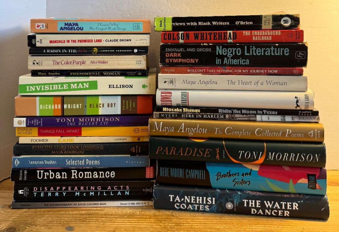 Black African American Literature Fiction Lot (27) Toni Morrison Langston Hughes