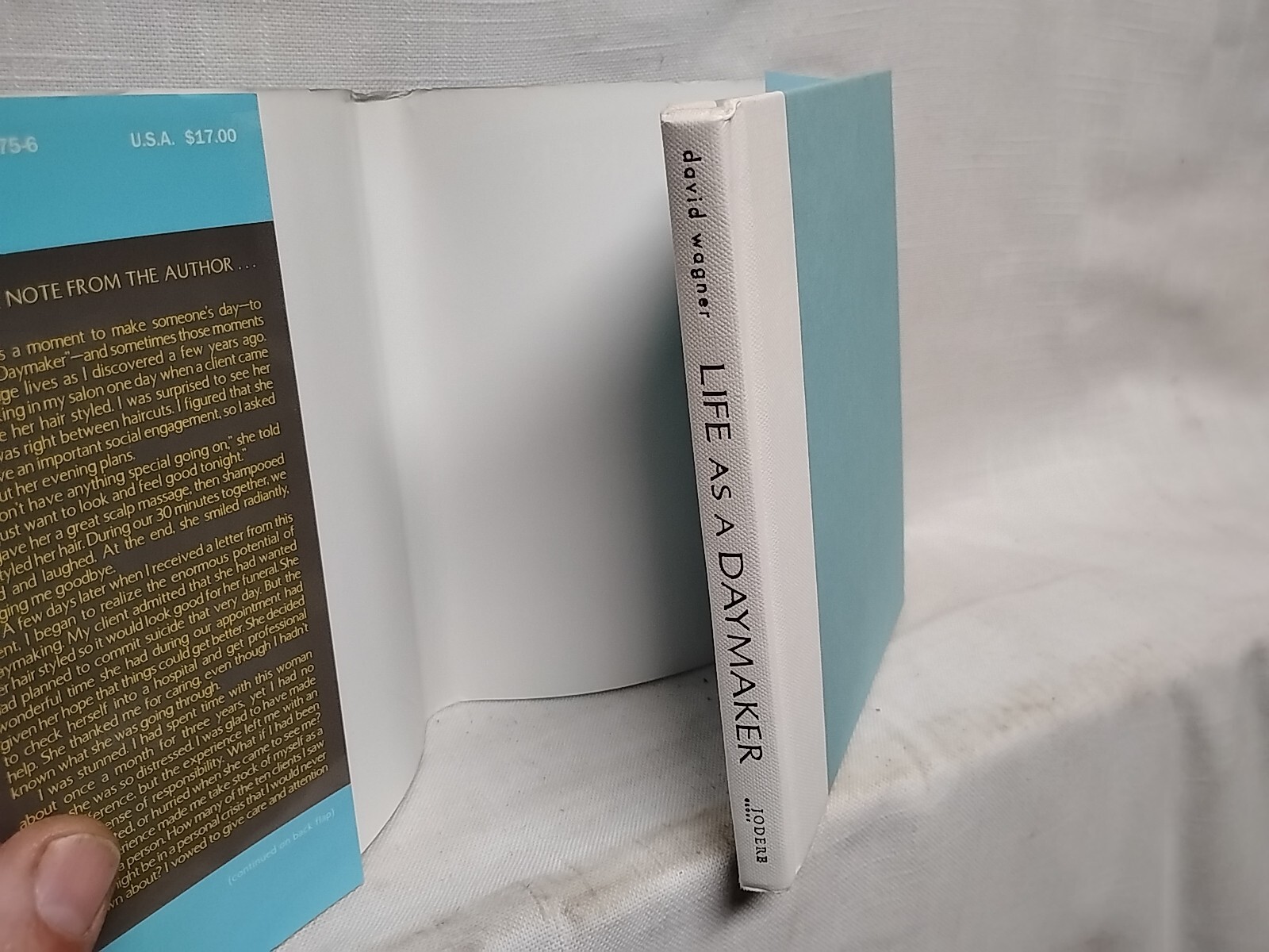 Life As a Daymaker by David Wagner How To Change The World 2003 125 pages