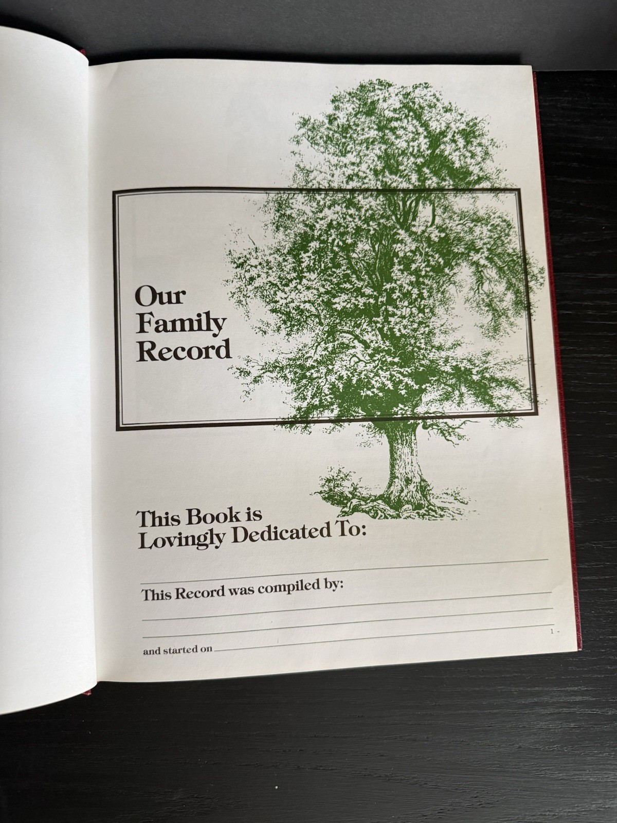 Our Family Tree Record Book 1977 A HISTORY OF OUR FAMILY Poplar Books