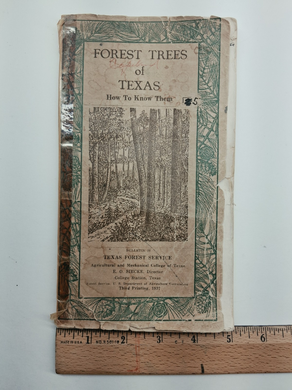 Frest Trees of Texas, Vintage Booklet, College Station, Texas 1937