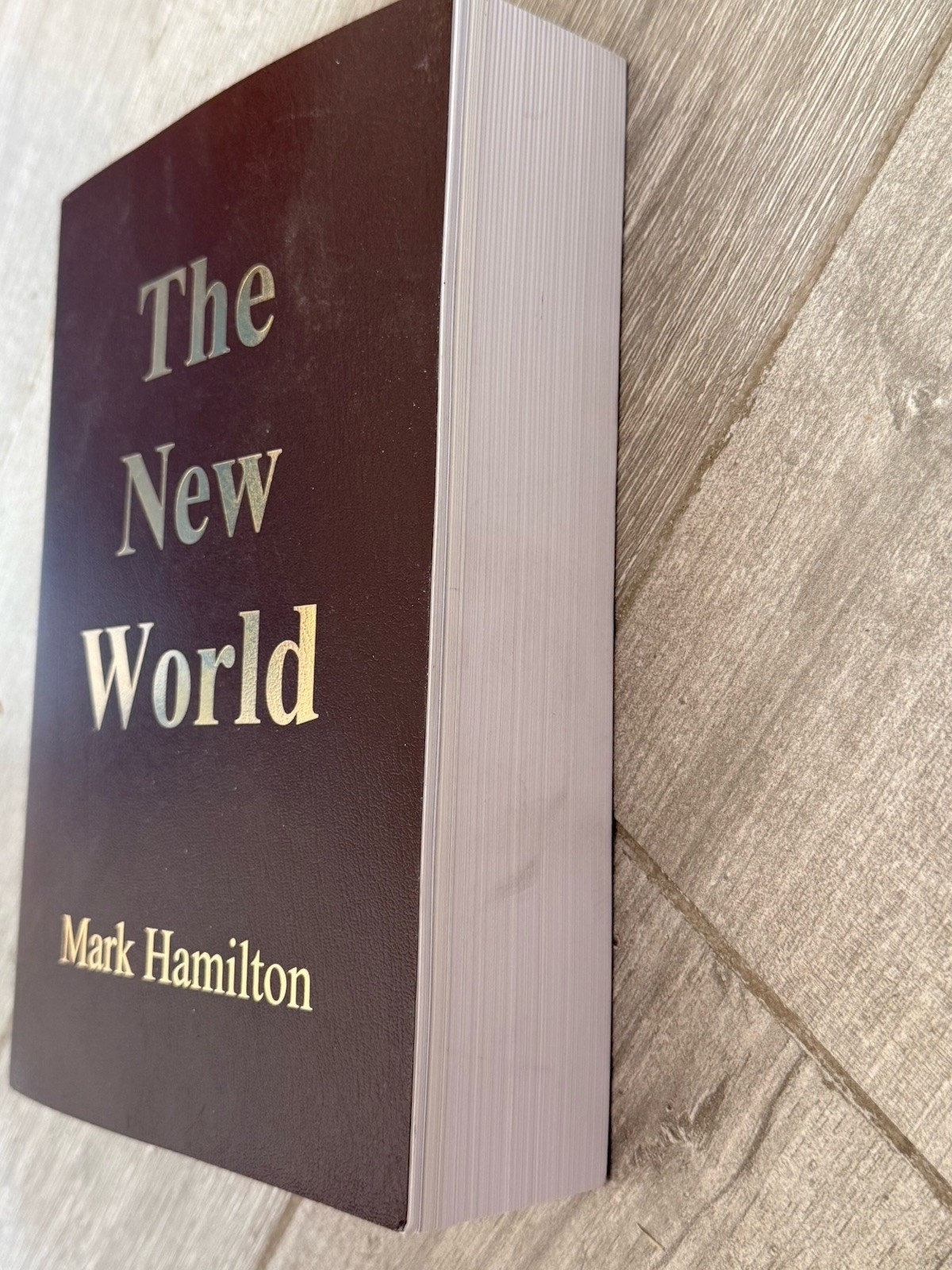 🌟 The New World by Mark Hamilton (2021 Neothink Society TPB) 1st Print