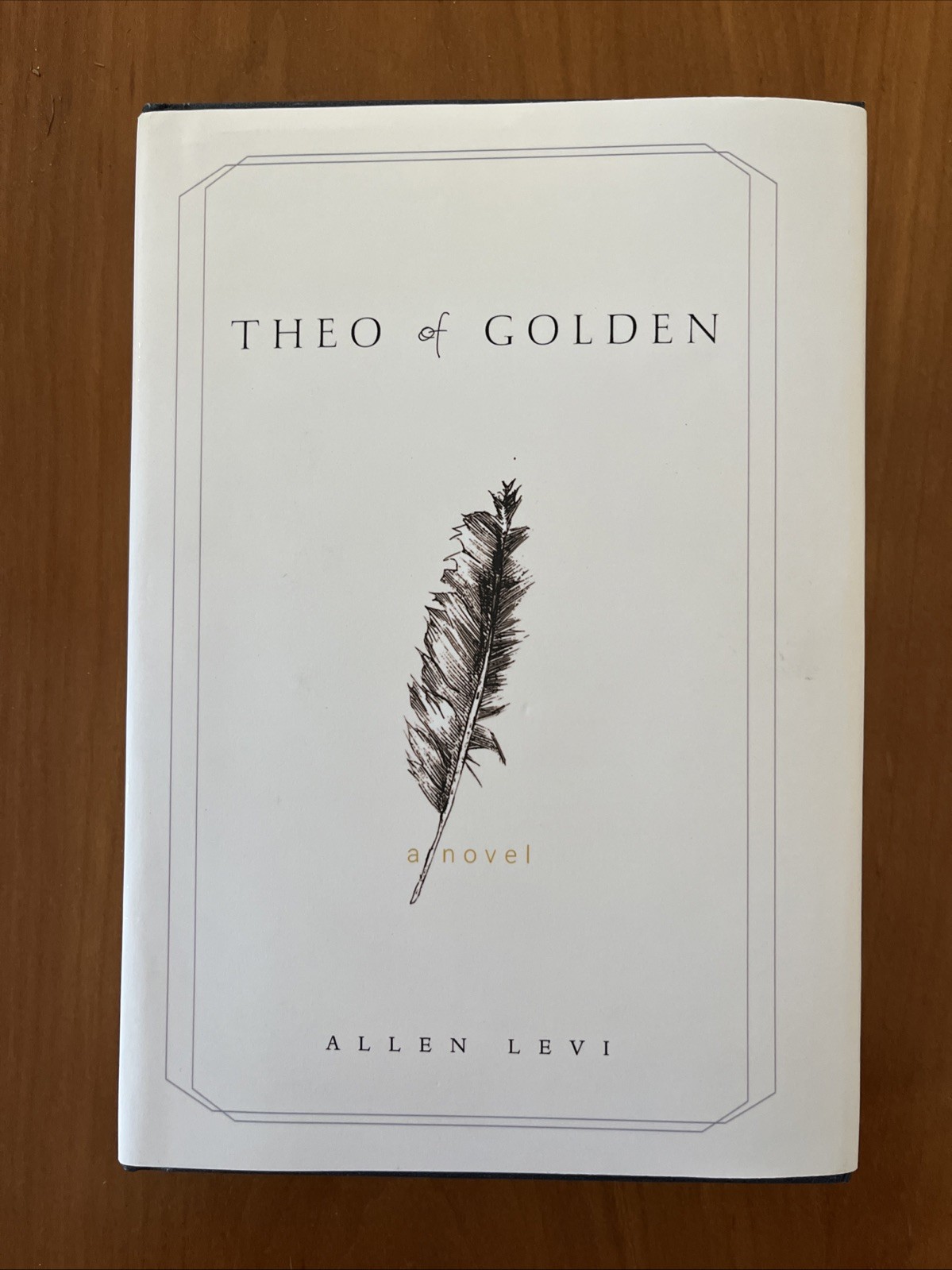 Theo of Golden Allen Levi True First Edition Self Published Hardcover Book 2023