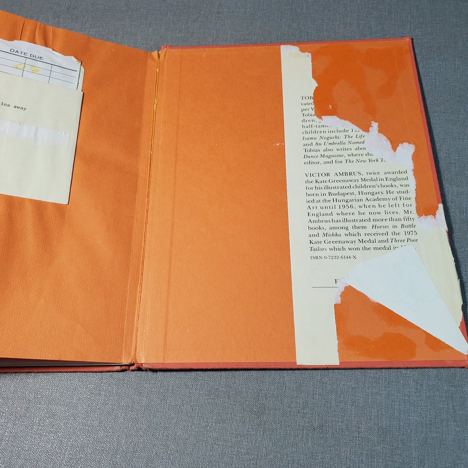 Chasing the Goblins Away Tobi Tobias 1977 Illustrated Fantasy Frederick Warne