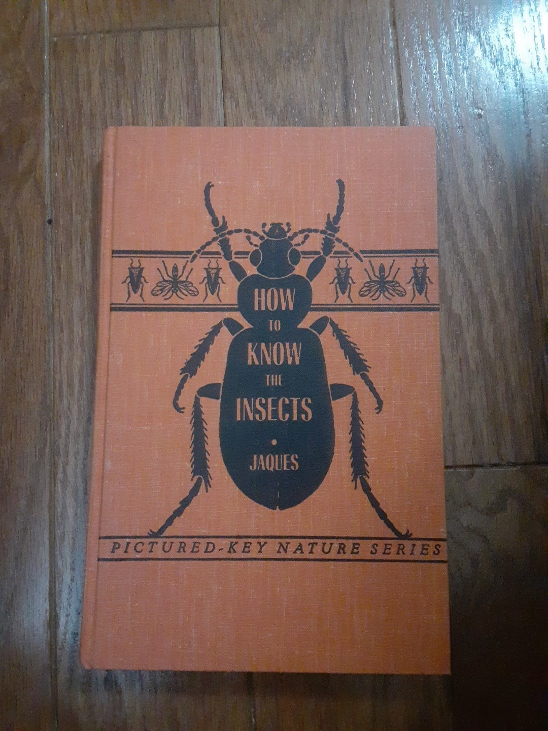 How To Know The Insects, By H.E. Jaques, Hardcover, Pictured Key Nature Series