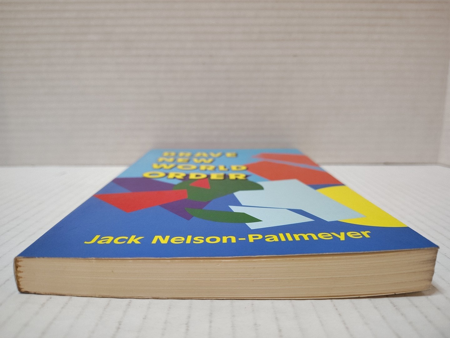 BRAVE NEW WORLD ORDER by Jack Nelson-Pallmeyer (1992, Pb) * FREE SHIPPING *