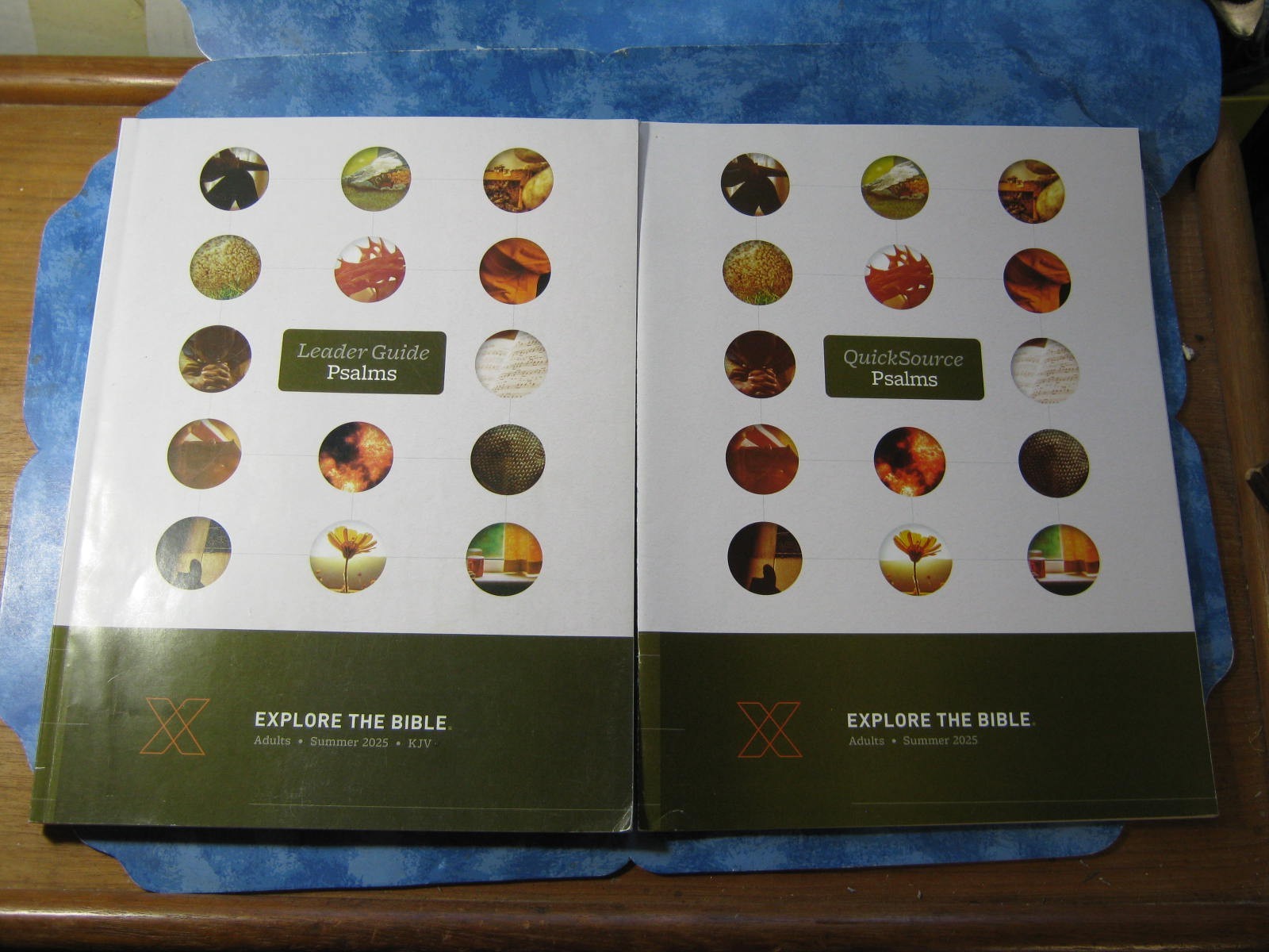 LOT OF 3 PSALMS Leader Guide + QuickSource EXPLORE THE BIBLE SC Summer 2025 XLNT