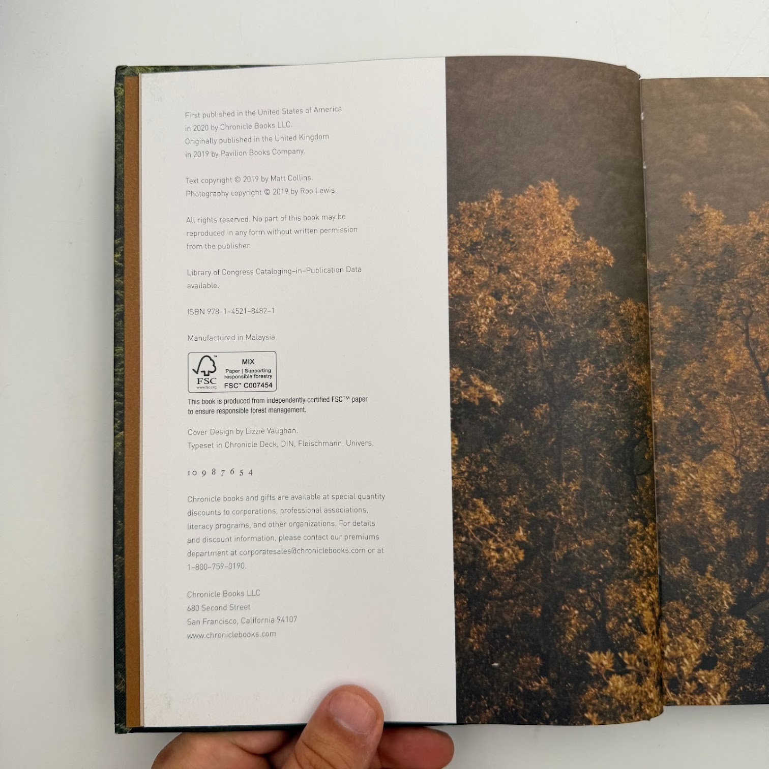 Forest by Matt Collins (2020, Hardcover) Tree Photography Book, Nature and World