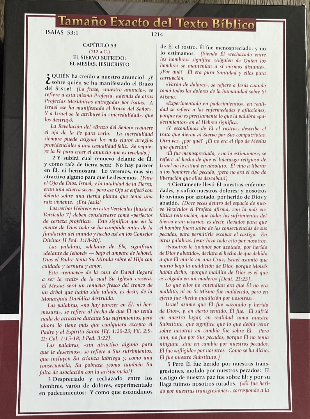 BIBLIA DE ESTUDIO DEL EXPOSITOR DE JIMMY SWAGGART COLOR VINO