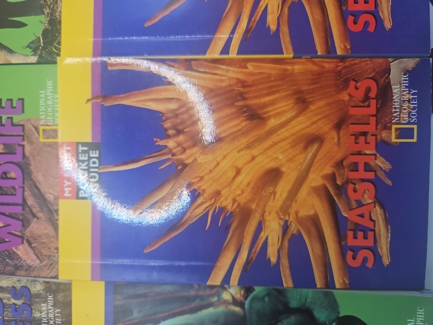 National Geographic My First Pocket Guides: Big Collection 11 Books science
