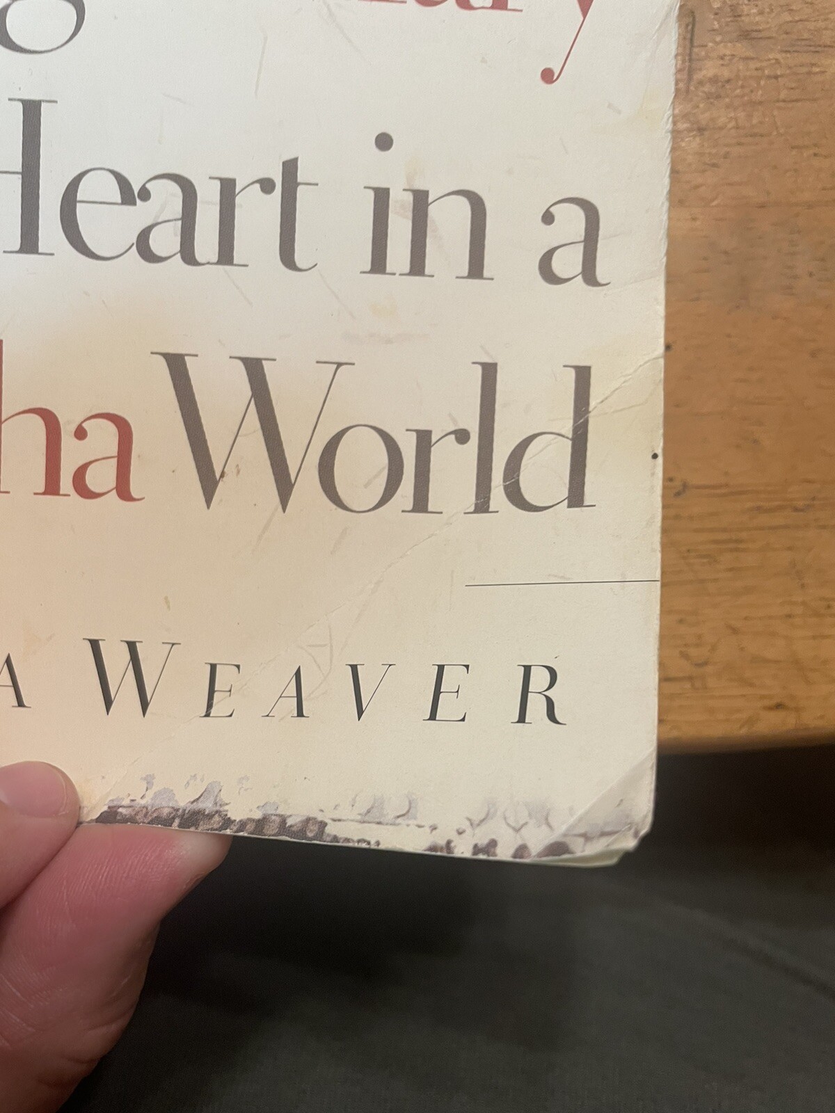 Religion Paperback: Having a Mary Heart in a Martha World by Joanna Weaver 2006