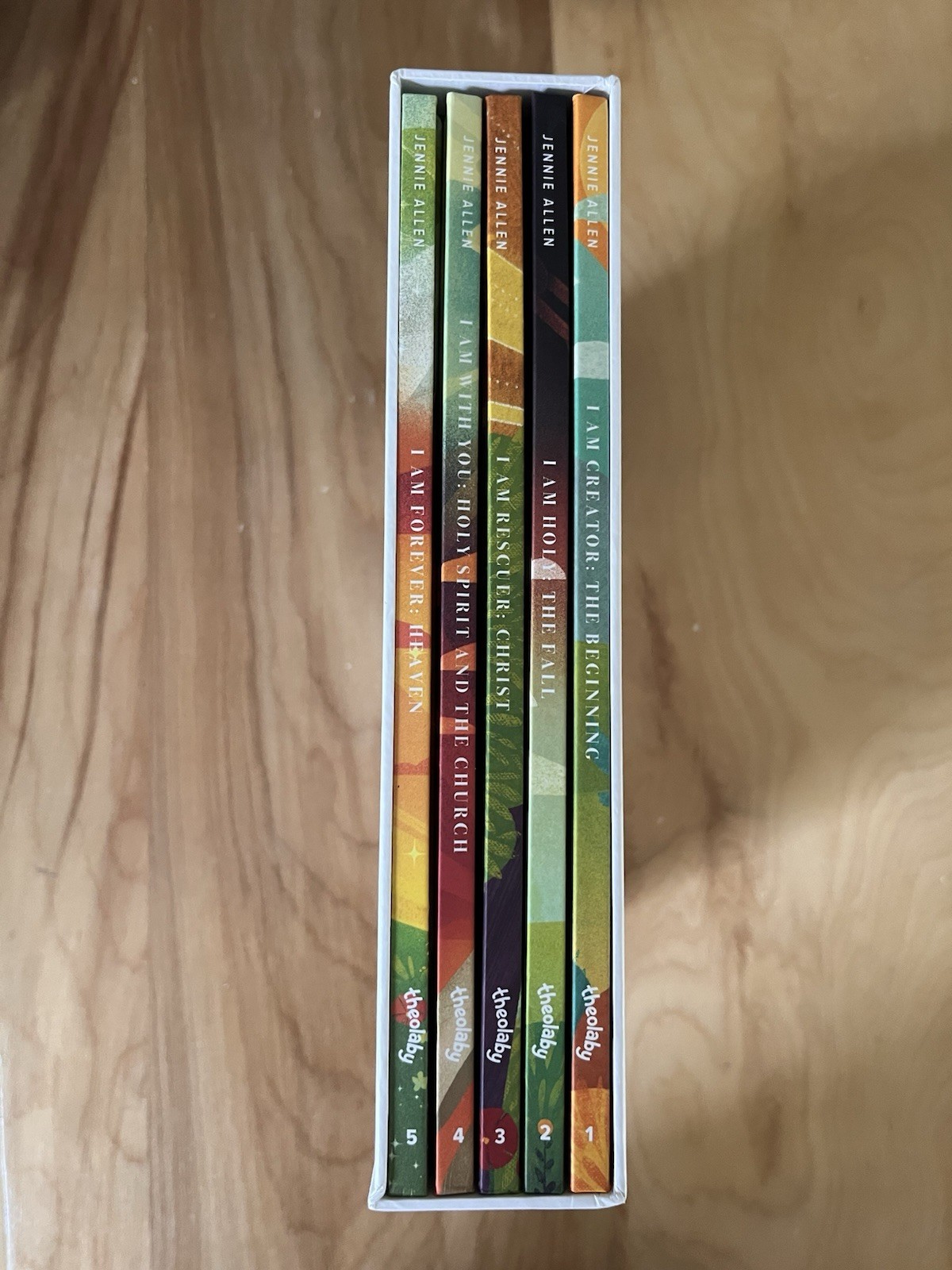 Complete 5 Volume Hardback Book Set – The Story of God-Jennie Allen Theolaby