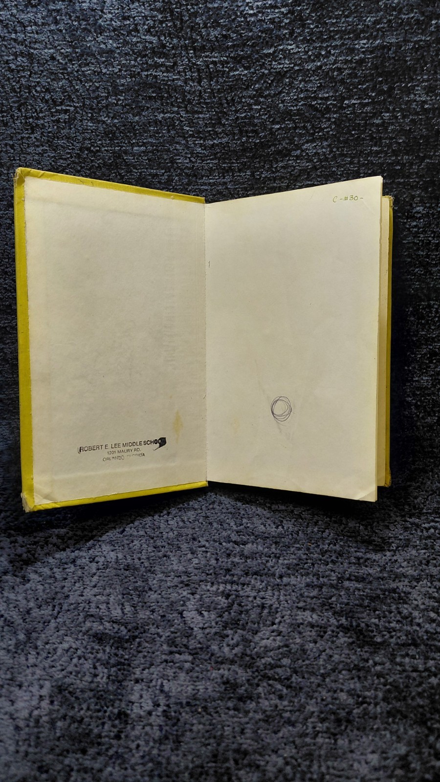 VTG RARE 1959-1975 MY SIDE OF THE MOUNTAIN By Jean Craighead George – Hardcover