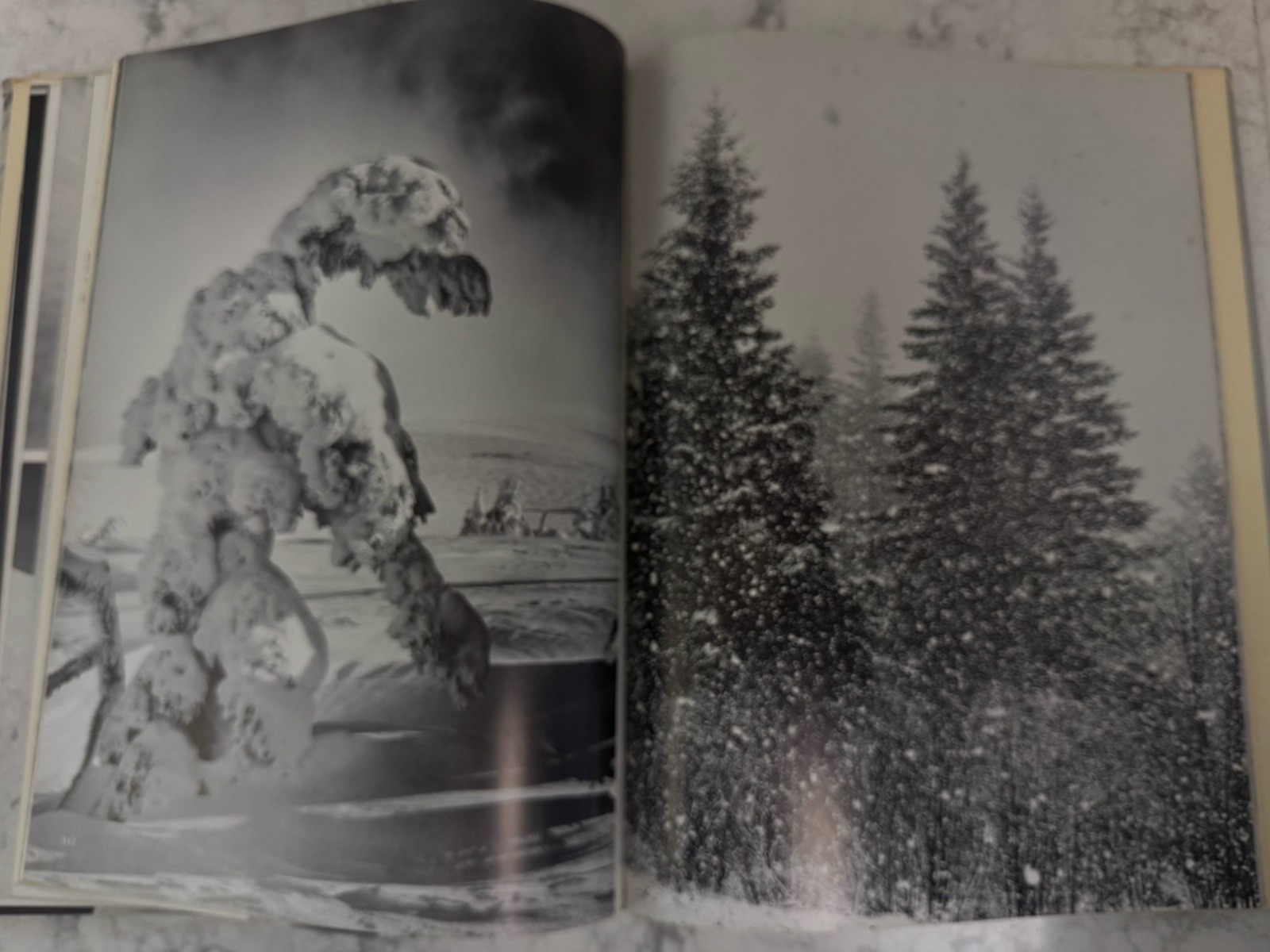 Ski And Snow. By Ray Atkeson. Hard Cover With Jacket. 1960. 1st Edition. 12”