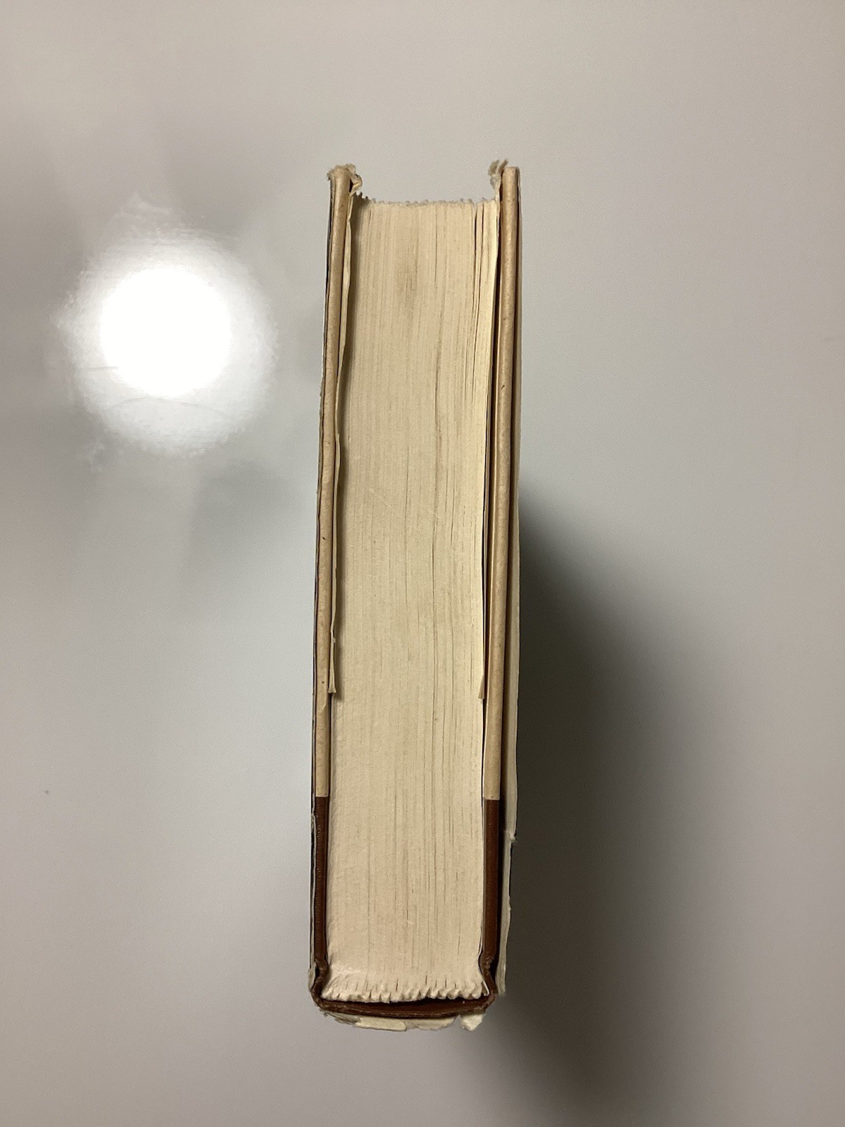 If This Is A Man Remembering Auschwitz A 3-In-1 Volume By Primo Levi 1986