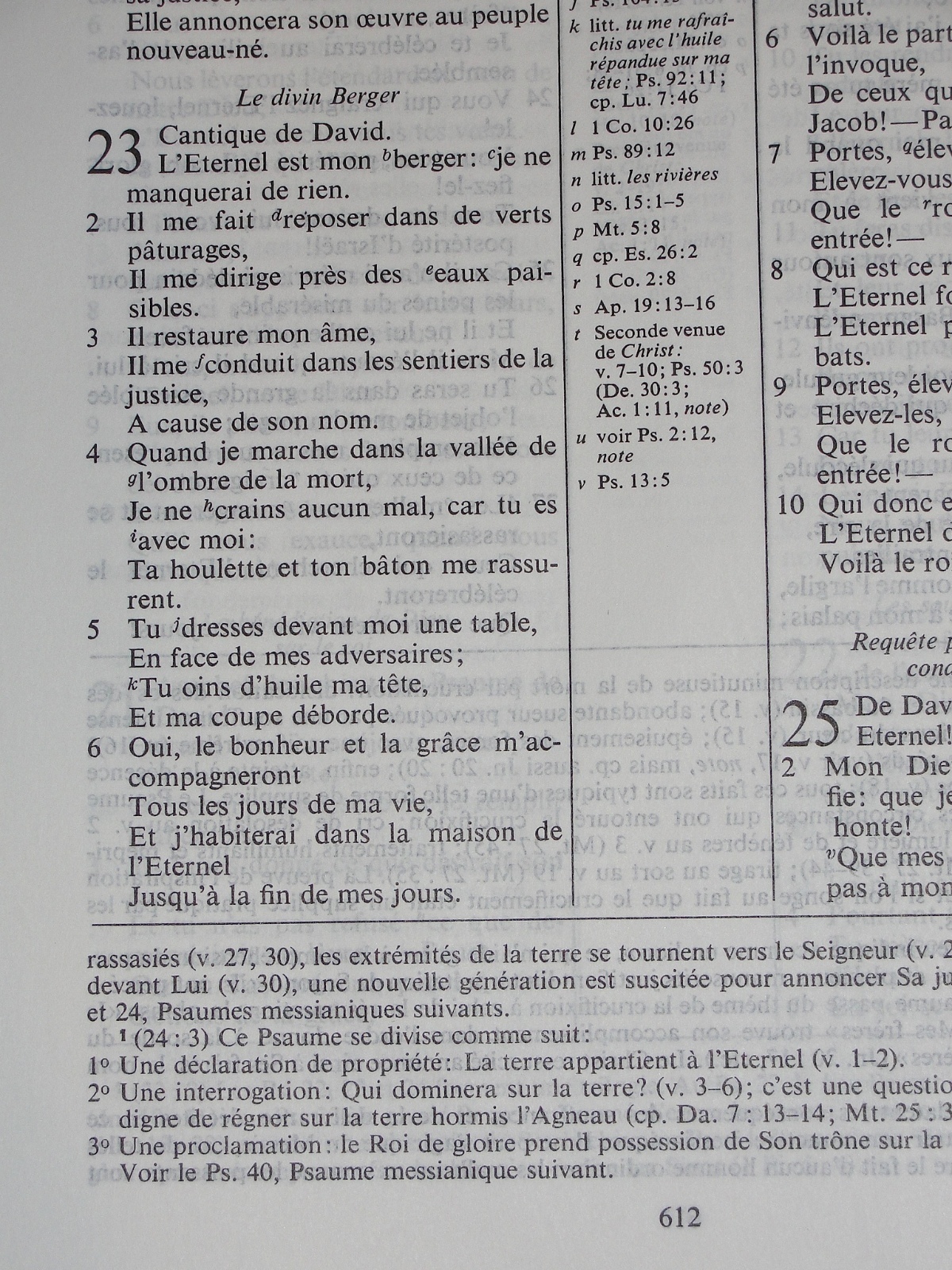 French Bible, Scofield Study Bible, Segond NEG, La Sainte Bible Hardcover